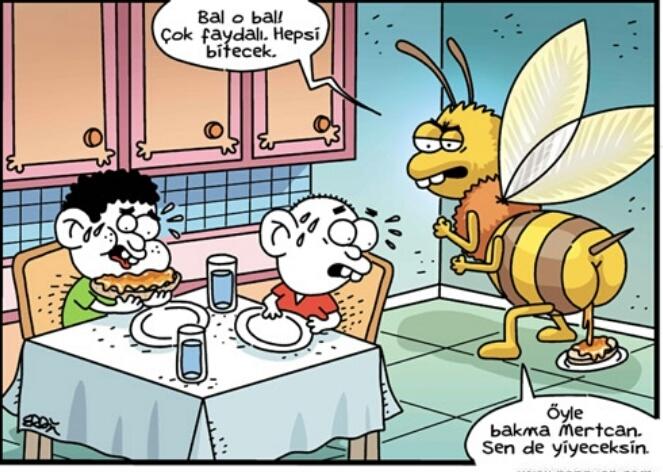 Bal arının dışkısı mıdır?