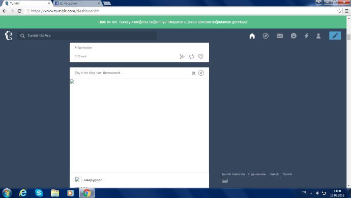 TUMBLR DA RESİMLER VER GİFLER AÇILMIYOR ?