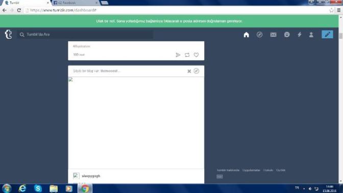 TUMBLR DA RESİMLER VER GİFLER AÇILMIYOR?