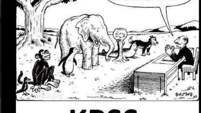 Kpss hakkında ne düşünüyorsunuz?