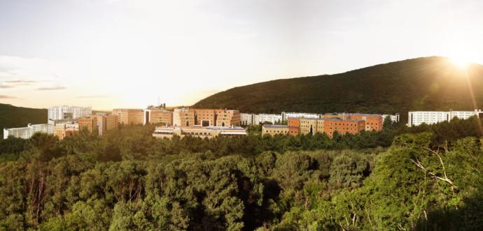 Yeditepe Üniversitesi