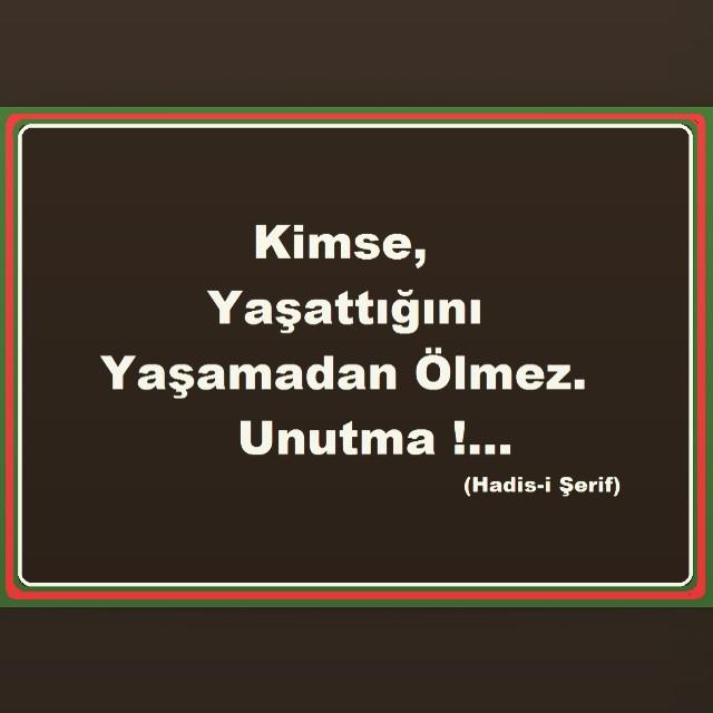 Peygamberimizin sözü hakkındaki görüşleri alayım sizce dogrumu ???