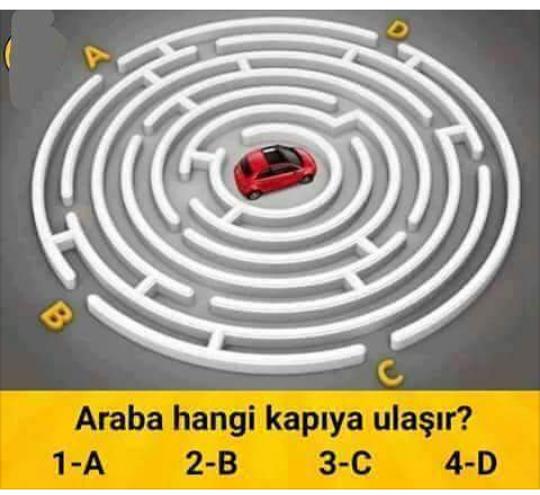 araba hangi kapidan çıkar 😶(resimli soru)? 