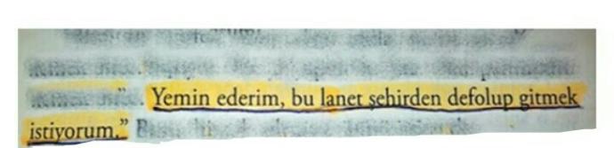 Yaşadığınız şehri seviyor musunuz?