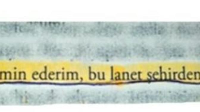 Yaşadığınız şehri seviyor musunuz?