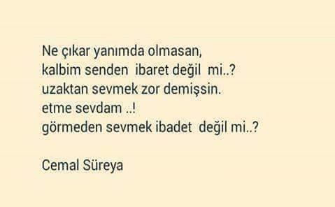Görmeden sevdiniz mi hiç, birini ?