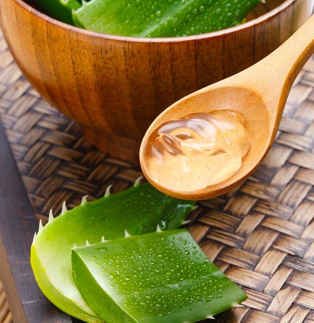 aloe vera kullananlar