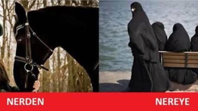 2023 e kadar şeriat gelecek ve burası iran olucak :(( ?