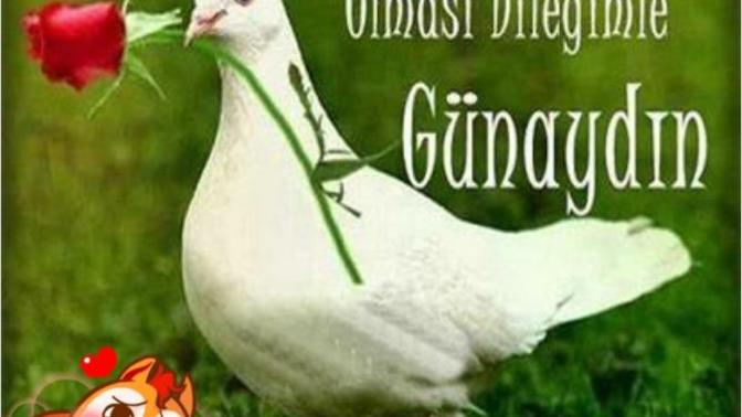 Günaydın yeni bir günde bütün güzellikler sizinle olsun :) ?