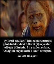 Kuranı kerim maymunlara neden aşağılık der?