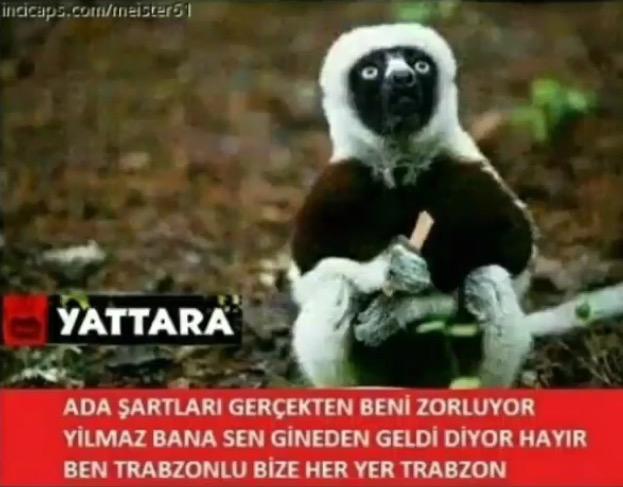Bunu hatırlayan var mı????