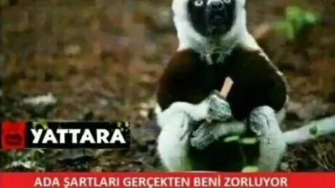 Bunu hatırlayan var mı?