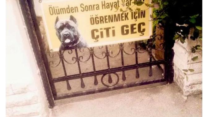Ölümden sonra hayat var mıdır?