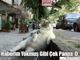 "Kanka haberim yokmuş gibi çek" ciler hakkında neler düşünüyorsunuz?