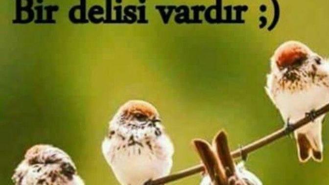 Her evin bir delisi vardır 👻👻👻 öyleyse, sizin evin delisi kim 😋🙈😛🙊🙃🤔?