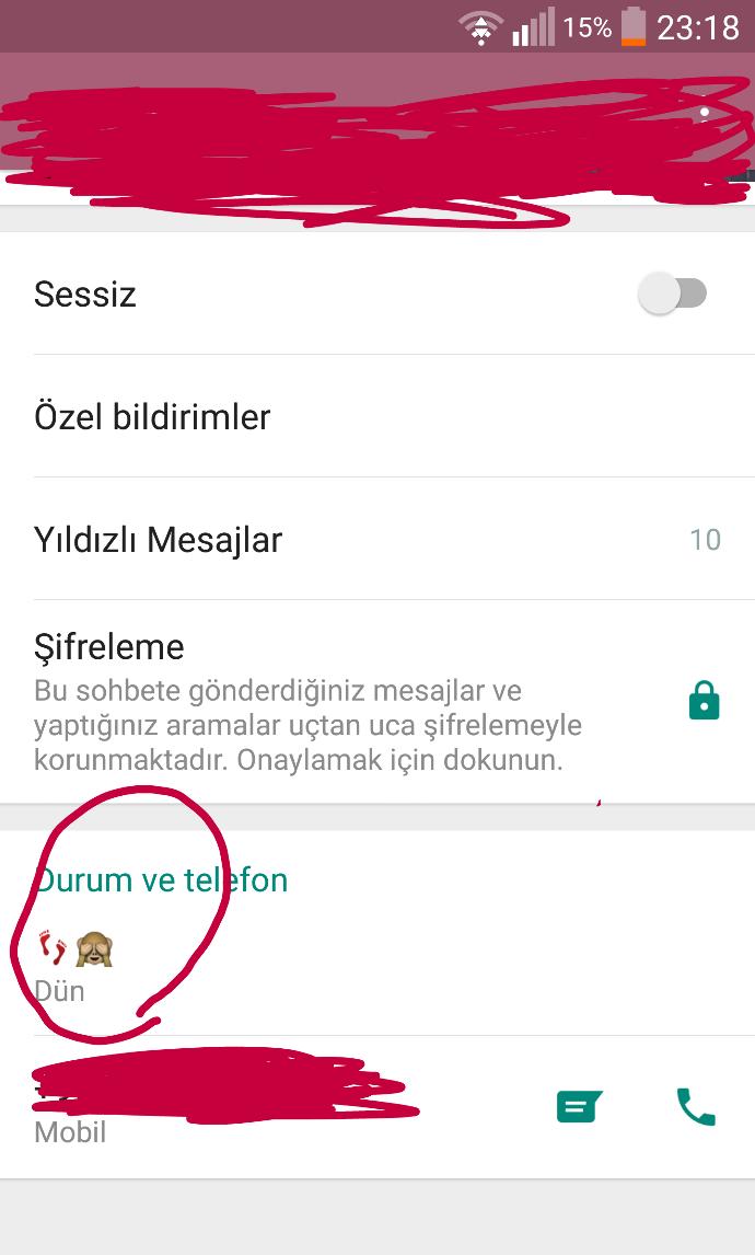 Whatsapp emoji?