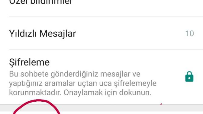 Whatsapp emoji?