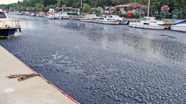 Kurbağalıdere neden ıslah edilmiyor?