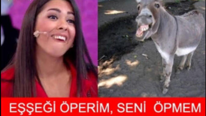 İlgi duyduğunuz Biri "Eşeği Öperim, Seni Öpmem" derse ne cevap verirdiniz?