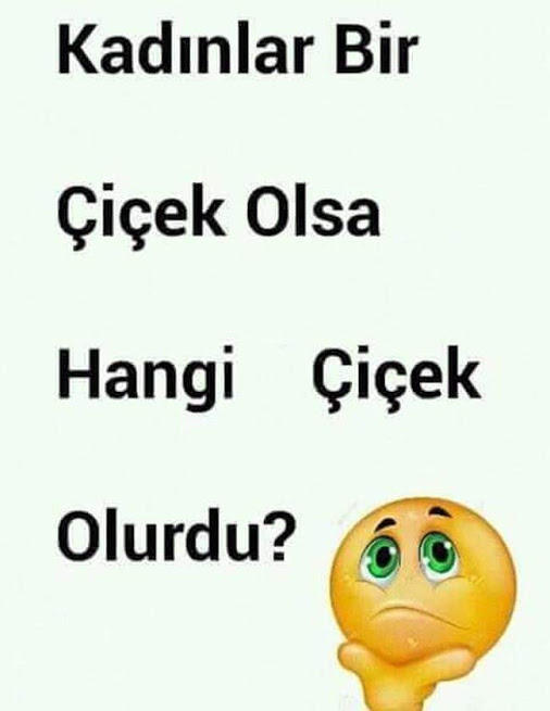 Kadınlar Bir Çiçek Olsa Hangi Çiçek Olurdu?