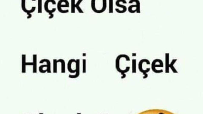 Kadınlar bir çiçek olsa hangi çiçek olurdu?