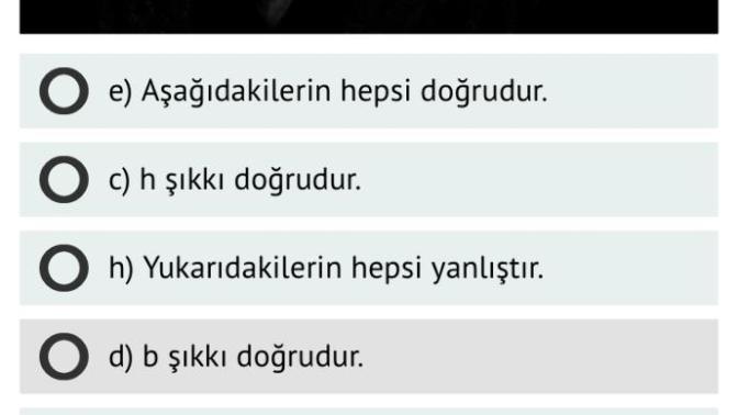 Beyin yakmaya geldim 😄Aşağıdakilerden hangisi doğrudur?