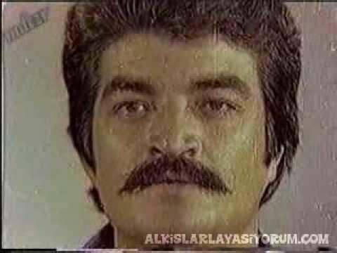 Yeşil çam artiştlerinin bu yönlerini biliyor muydunuz?