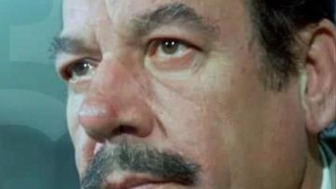 Yeşil çam artiştlerinin bu yönlerini biliyor muydunuz?