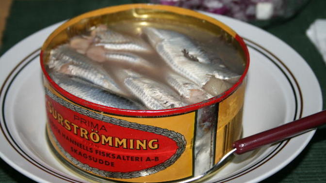 En kötü kokulu yemek olan "Surströmming"i duymuş muydunuz?