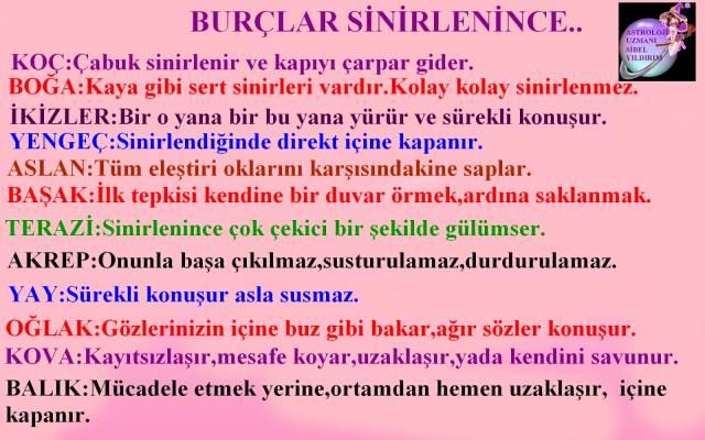 Sizce En Yalancı ve En Dürüst Burçlar Hangileri :D?
