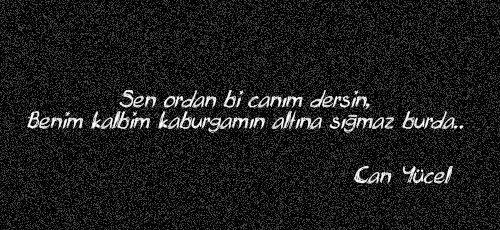 Evlendiğiniz de eşinize karışır mısınız ? Yoksa saldım çayıra, mevlam kayıra mı?