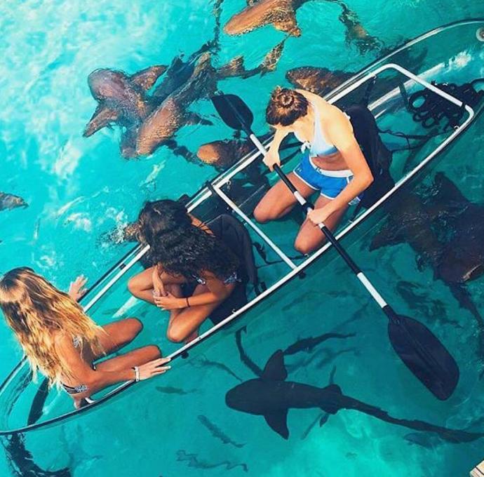 GÜNAYDIN PİREMSES👑 ve PiREMSLER👼👯 Benim için haziran ayı _______________ geçiyor.Boşluğu doldurun🤗😍?