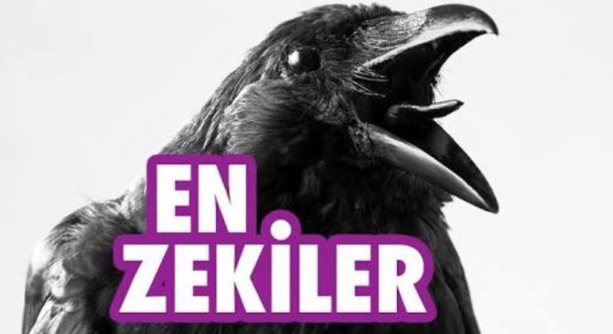 Hangi burçlar daha zekidir?