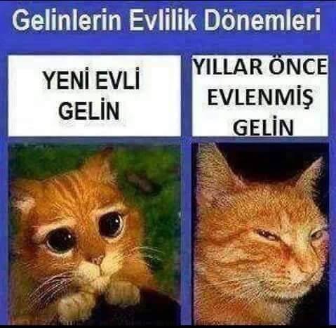 Gelinler ne kadar değişebilir?