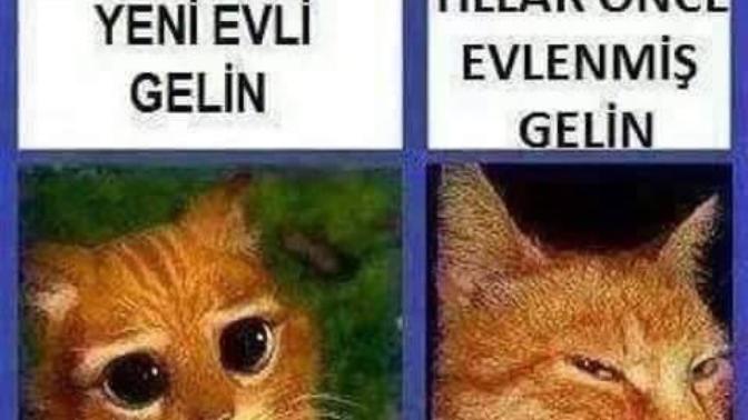 Gelinler ne kadar değişebilir?