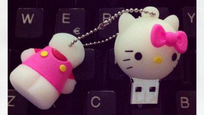 Hello Kitty usb bellek aldım. Sizce nasıl?