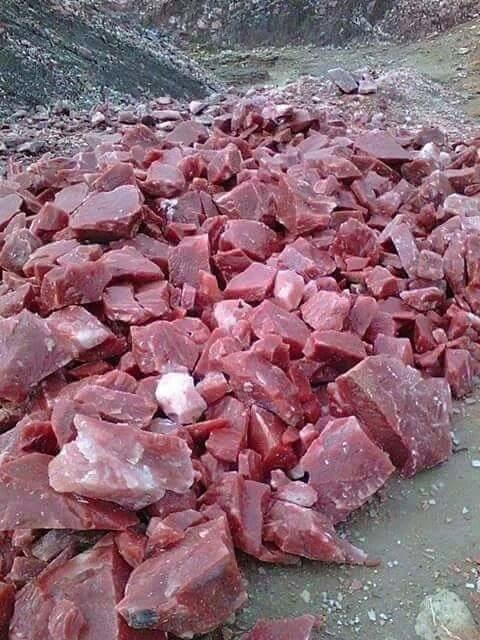 Bu resimde ne goruyorsunuz?