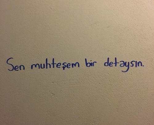 Aşk , kusurlara hayran olmak mıdır?