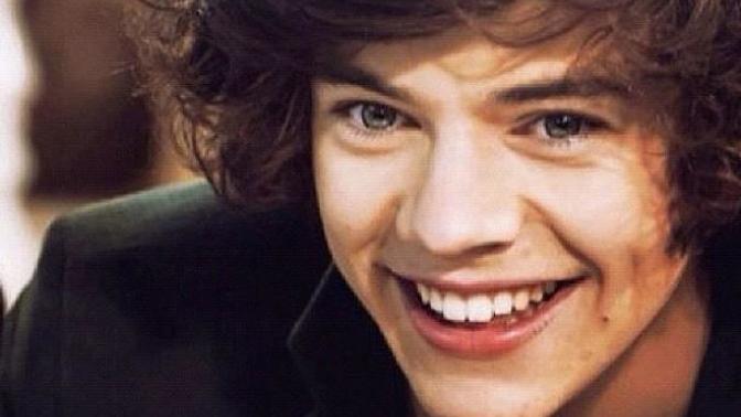Sizce Harry Styles mı? Yoksa Luke Hemmings mi?