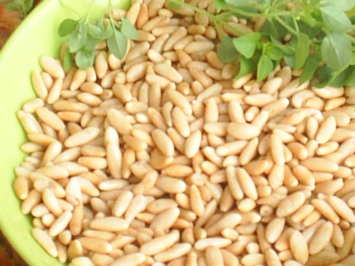 Çam fıstığı ( Dolmalık fıstık ) sever misiniz ?