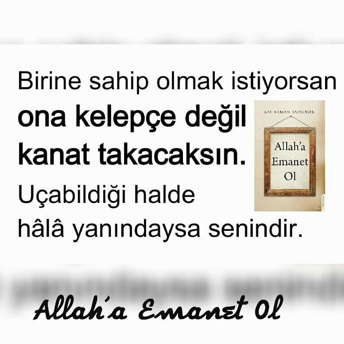 Siz sevdiginize kelepçe mi takarsiniz kanat mi 🤔?