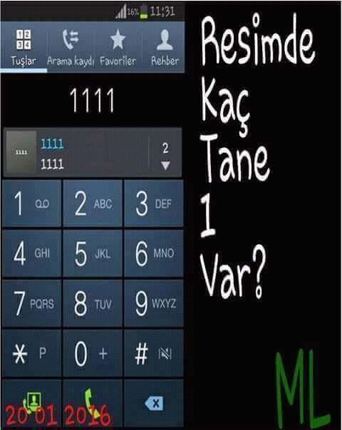 Resimde kaç tane 1 var ?