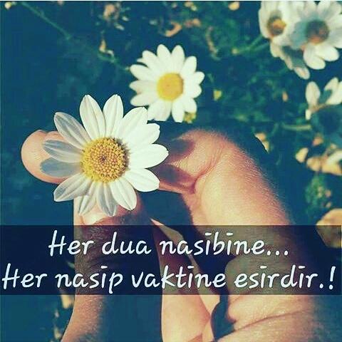 Ben bekarım evlenip ayrılmıs bir çocugu olan birine aşık oldum onunla evlensem mutsuz olur muyum sizce ?