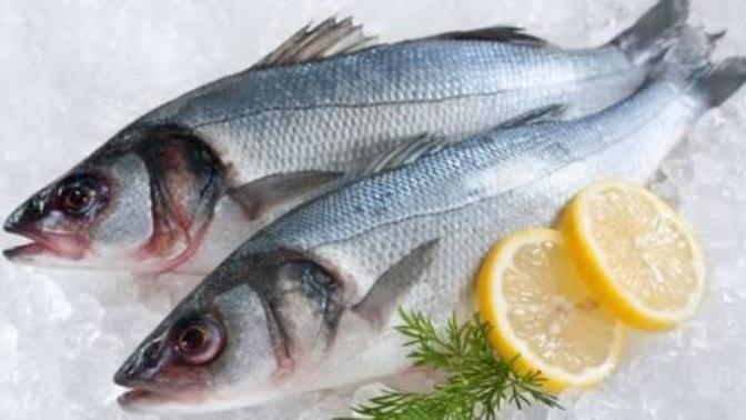 Kıyıdan Levrek Avı İçin Sahte Yem (Rapala) Tavsiyesi Verecek Var mı?