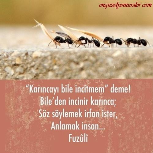 İrfan sahibi nasıl olunur?