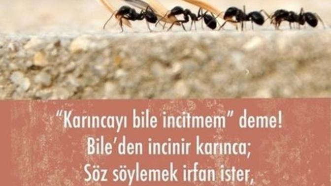 İrfan sahibi nasıl olunur?