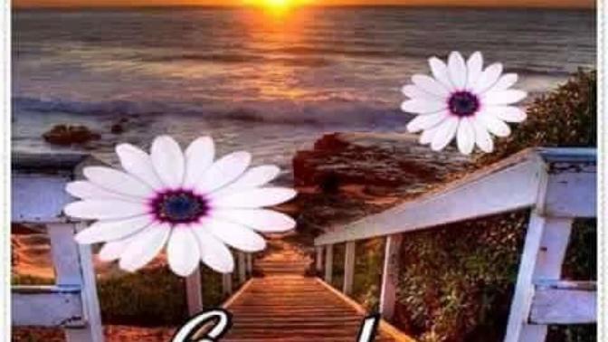 Günaydın 😇💕🌹Hayırlı Cumalar diliyorum😇💕🌹 Nasılsıniz😇🍃😌 ?