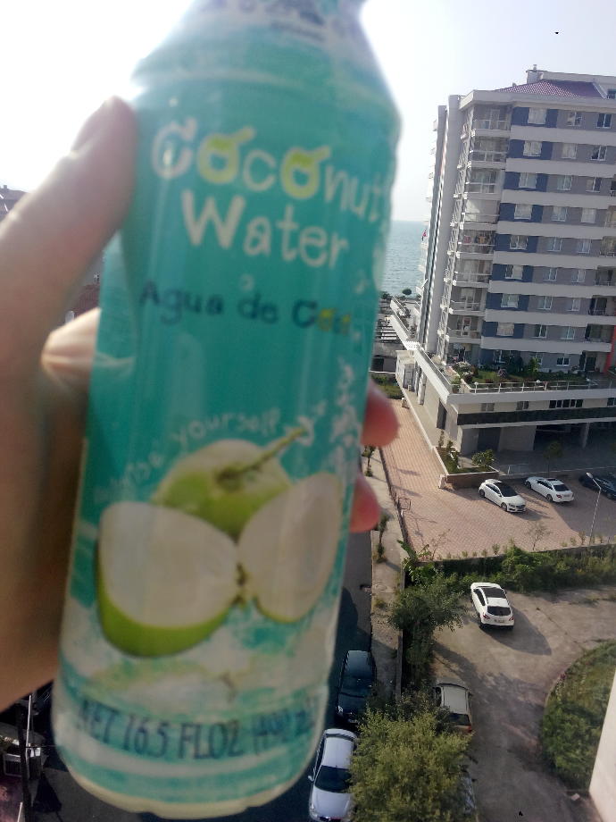 Hindistan cevizi suyu içen var mı?