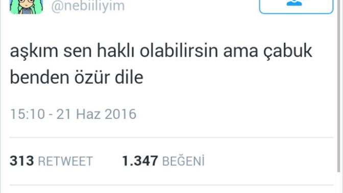 Eğer haksızsanız özür diler misiniz?