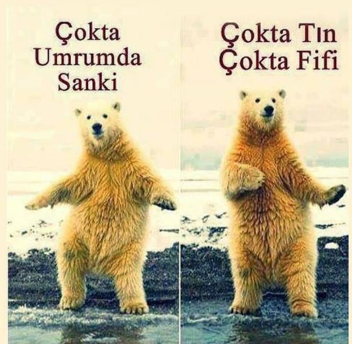 🍍Morninngooo beybiler👼☄ 😊😍 Bugünlerde ruh halin nasıl 🎭🤔🌳🌄?? 